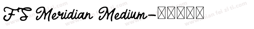 FS Meridian Medium字体转换